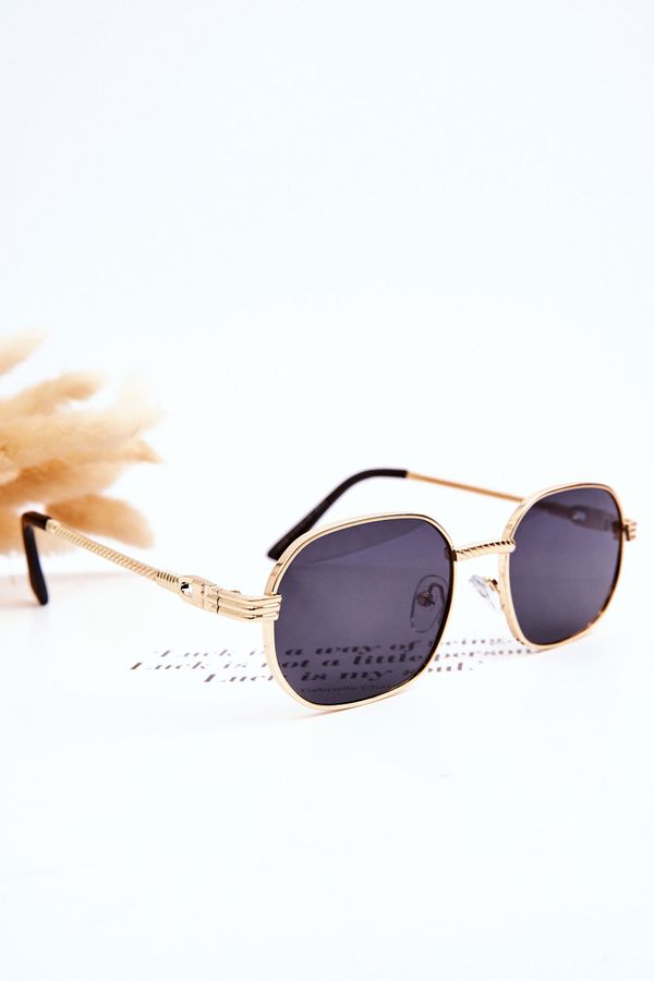 Kesi Trend Sunglasses Ful Vue V160049 Gold-Black
