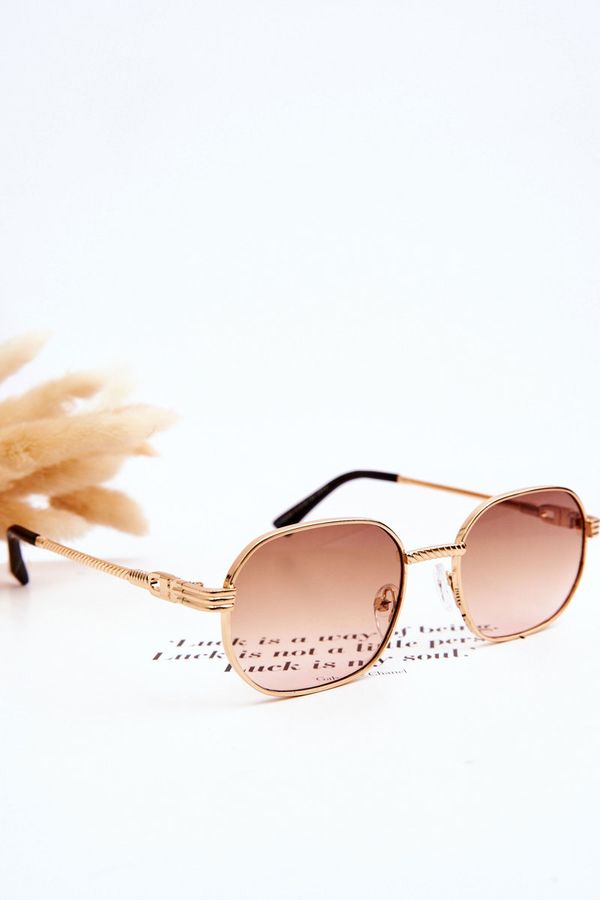Kesi Trendy Sunglasses Ful Vue V160049 Gold-Light Brown