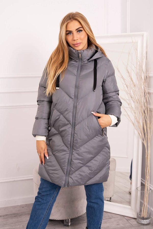 Kesi Winter jacket with collar and hood gray color