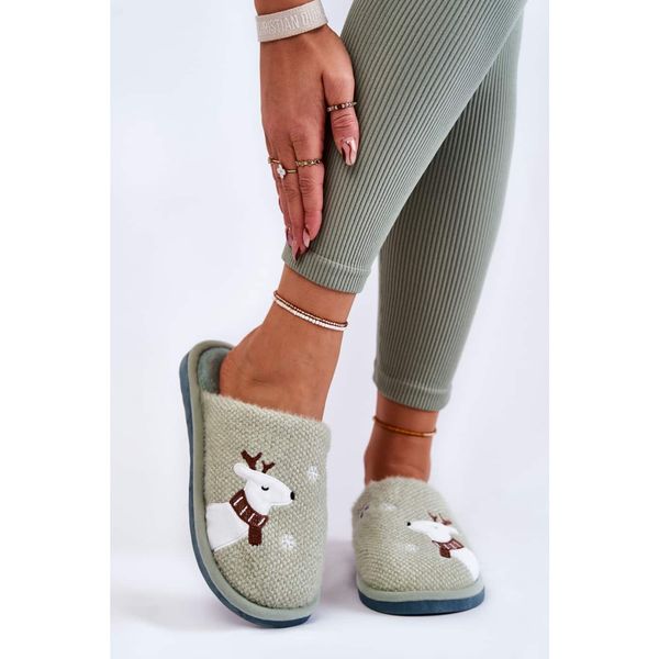 Kesi Women's Christmas Slippers With Reindeer Green Millio