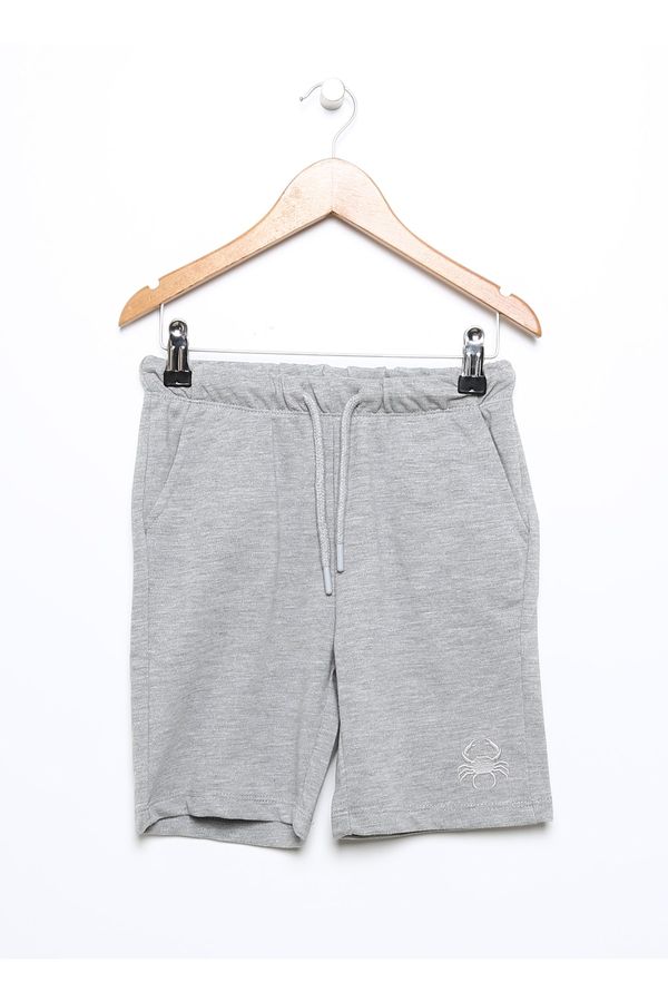 Koton Koton Shorts - Gray