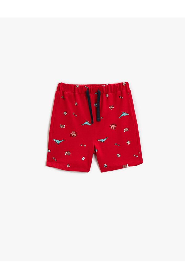 Koton Koton Shorts - Red - Normal Waist