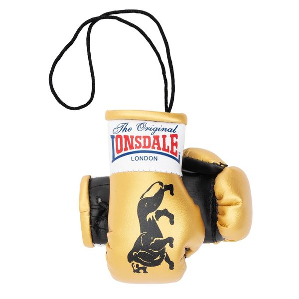 Lonsdale Lonsdale Miniature boxing gloves