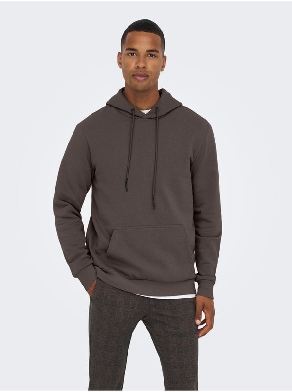 Only Grey Basic Hoodie ONLY & SONS Ceres - Men