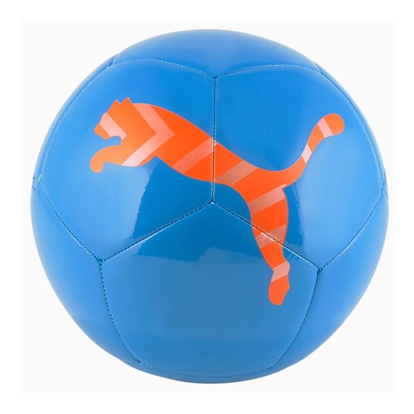 Puma Puma Icon Ball