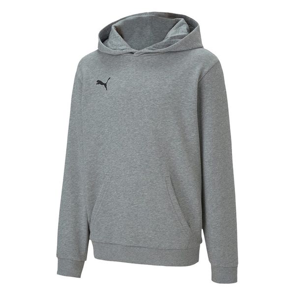 Puma Puma Teamgoal 23 Causals Hoody