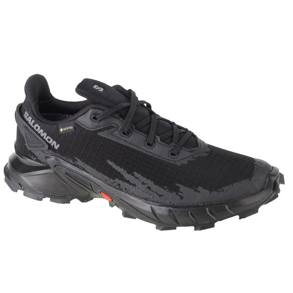 Salomon Salomon Alphacross 4 Gtx