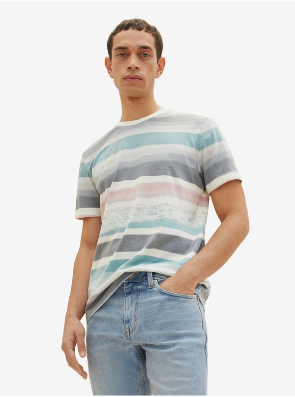 Tom Tailor Blue and Grey Men's Striped T-Shirt Tom Tailor - Men