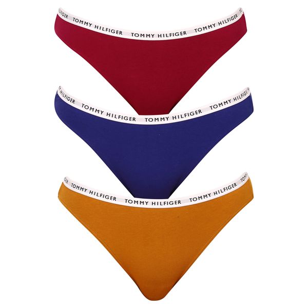 Tommy Hilfiger 3PACK dámské kalhotky Tommy Hilfiger vícebarevné (UW0UW02828 0XH)