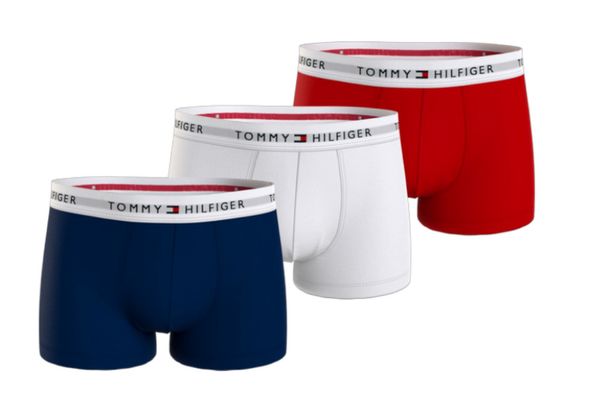 Tommy Hilfiger 3PACK Men's Boxers Tommy Hilfiger Multicolor (UM0UM02761 0UB)