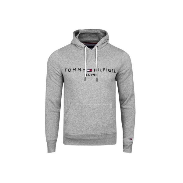 Tommy Hilfiger Tommy Hilfiger Core Tommy Logo Hoody