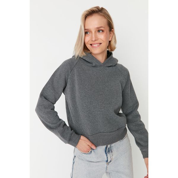 Trendyol Trendyol Anthracite Hooded Basic Thick Fleece Knitted Sweatshirt