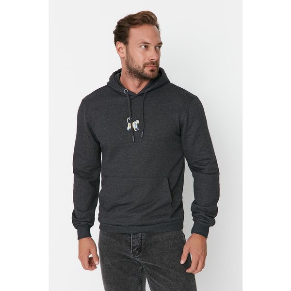 Trendyol Trendyol Anthracite Men's Basic Regular Fit Hooded Sweatshirt with Embroidery Sweatshirt