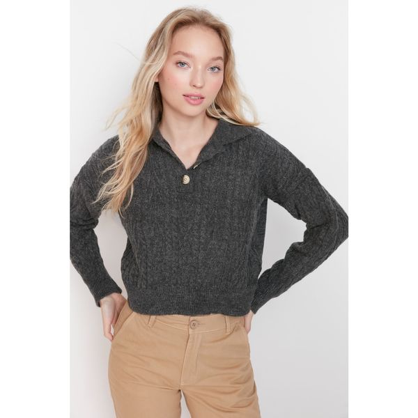 Trendyol Trendyol Anthracite Polo Neck Crop Knitwear Sweater