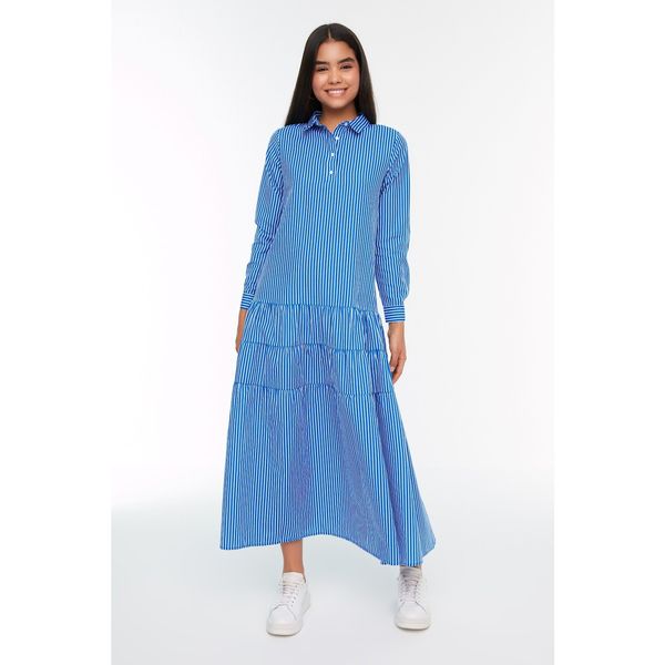 Trendyol Trendyol Blue Striped Shirt Woven Dress