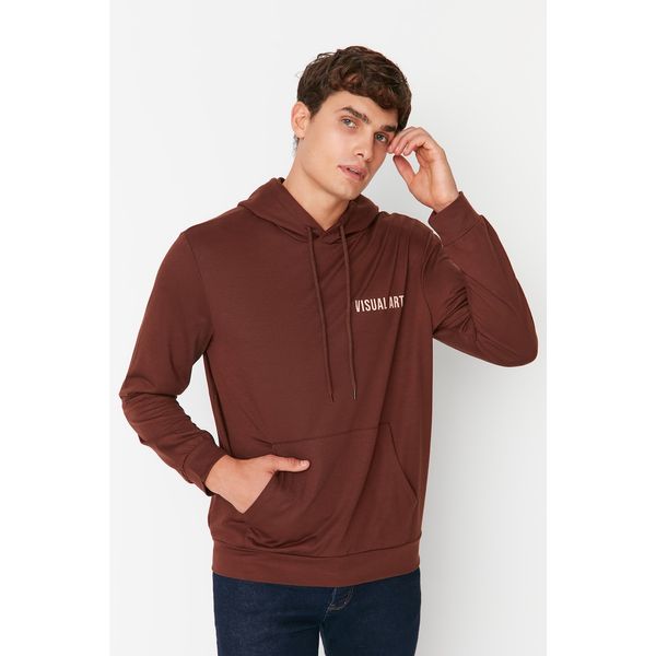 Trendyol Trendyol Brown Men Regular Fit Hoodie Sweatshirt