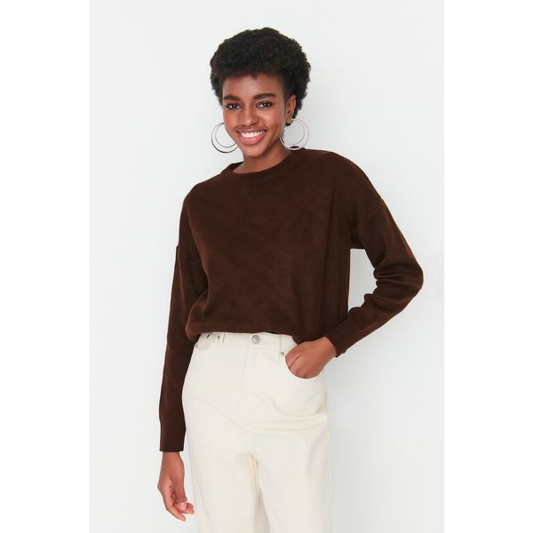 Trendyol Trendyol Brown Oversize Knitwear Sweater