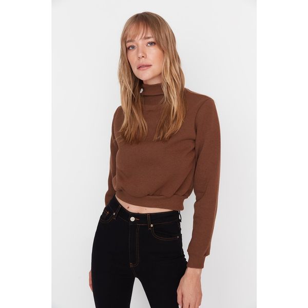 Trendyol Trendyol Brown Stand Up Collar Thick Fleece Inside Basic Knitted Sweatshirt