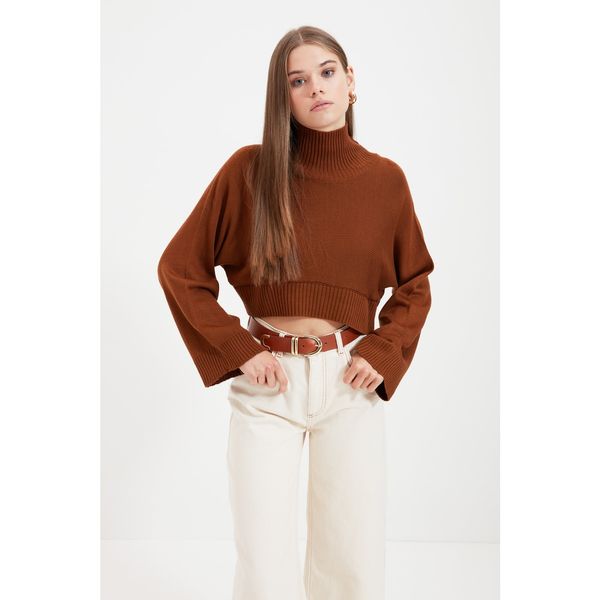 Trendyol Trendyol Brown Turtleneck Crop Knitwear Sweter