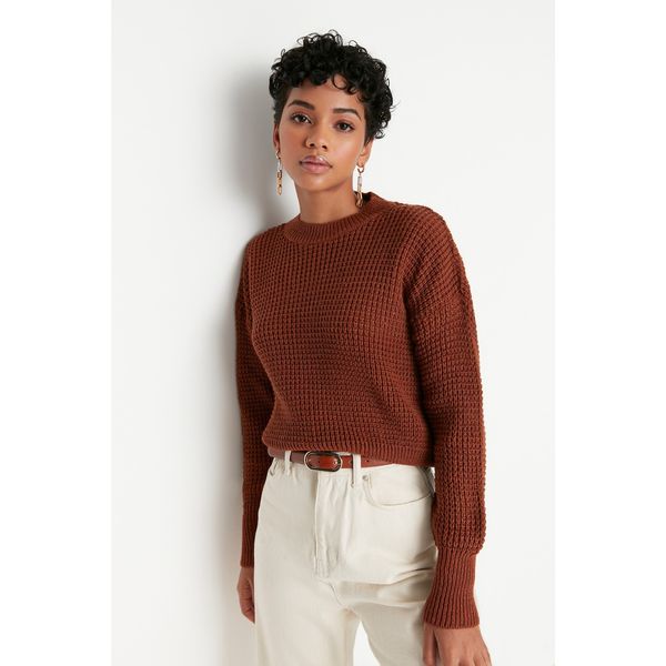 Trendyol Trendyol Cinnamon Waist Detailed Knitwear Sweater