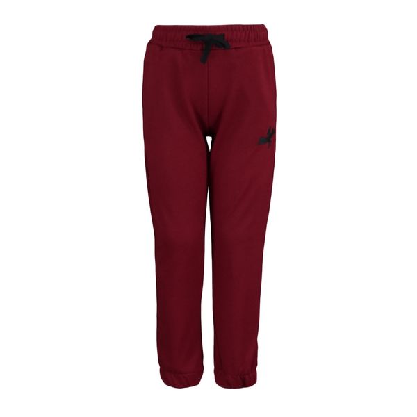 Trendyol Trendyol Claret Red Embroidery Detailed Boy Knitted Sweatpants