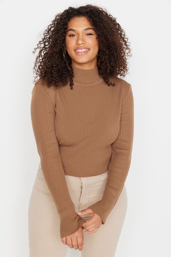 Trendyol Trendyol Curve Plus Size Sweater - Brown - Regular fit