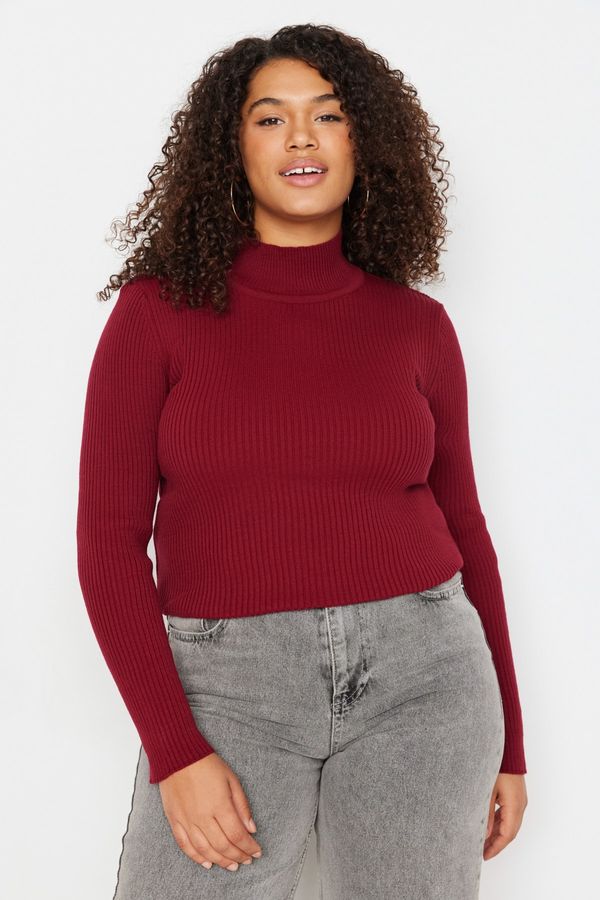 Trendyol Trendyol Curve Plus Size Sweater - Burgundy - Regular fit