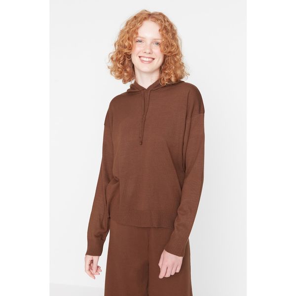 Trendyol Trendyol Dark Brown Hooded Knitwear Sweater