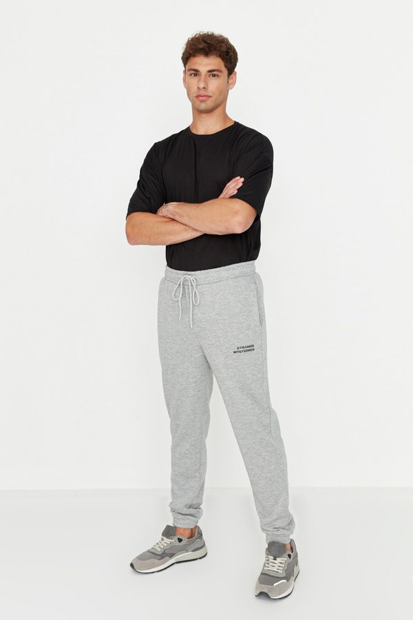 Trendyol Trendyol Gray Men's Regular Fit Sweatpants