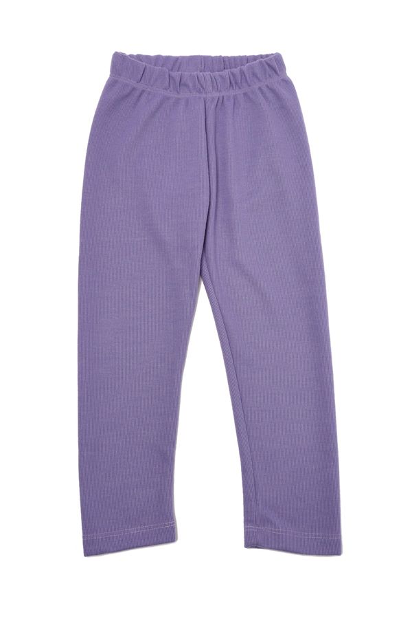 Trendyol Trendyol Lilac Corduroy Girl Knitted Sweatpants
