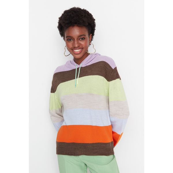 Trendyol Trendyol Lilac Hooded Detailed Knitwear Sweater