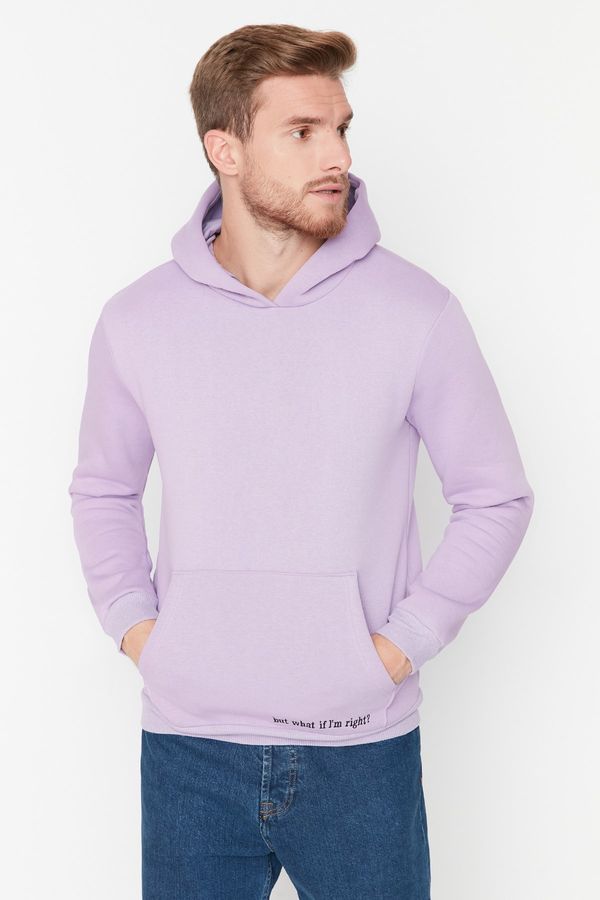 Trendyol Trendyol Lilac Men Regular Fit Long Sleeve Hooded Embroidery Soft Fluffy Inside Sweatshirt