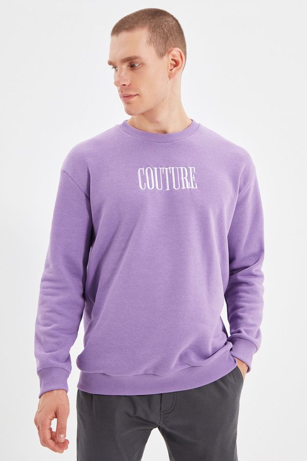 Trendyol Trendyol Lilac Men Regular Fit Long Sleeved Crew Neck Sweatshirt