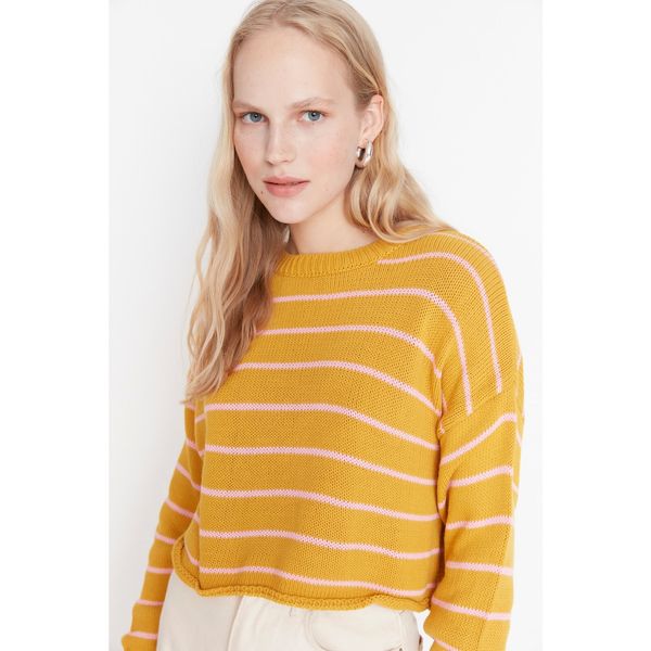 Trendyol Trendyol Mustard Crop Knitwear Sweater
