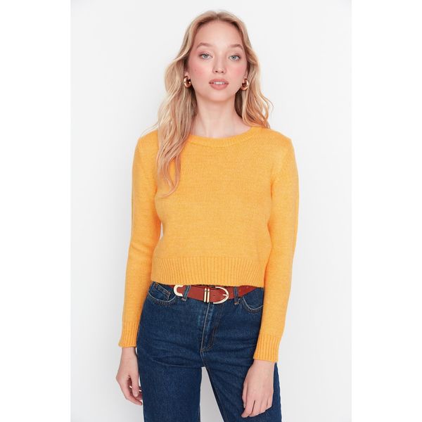 Trendyol Trendyol Mustard Knitwear Sweater