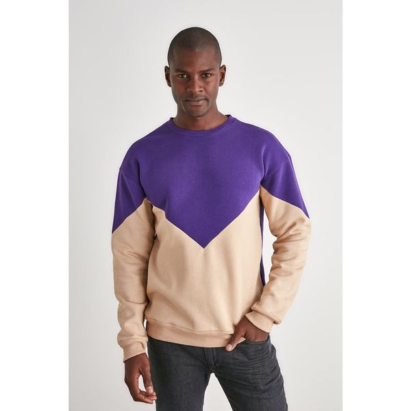 Trendyol Trendyol Purple Men's Paneled Regular Fit Sweatshirt
