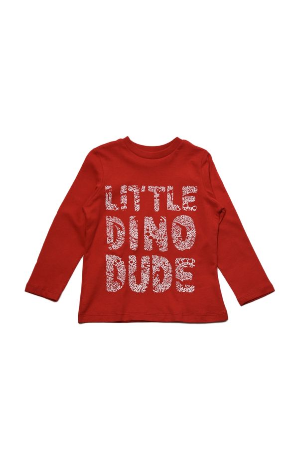 Trendyol Trendyol Red Printed Boy Knitted T-Shirt