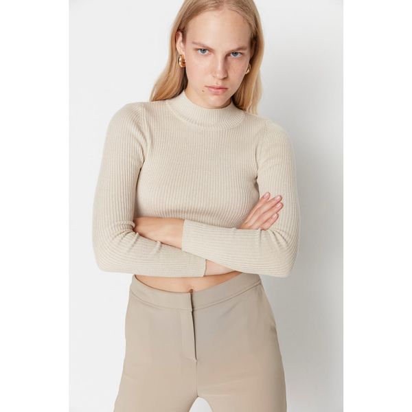 Trendyol Trendyol Stone Crew Neck Knitwear Sweater