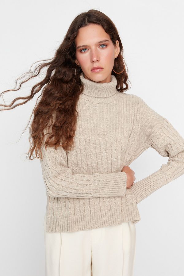 Trendyol Trendyol Stone Turtleneck Knitwear Sweater