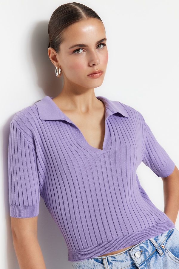 Trendyol Trendyol Sweater - Purple - Regular fit