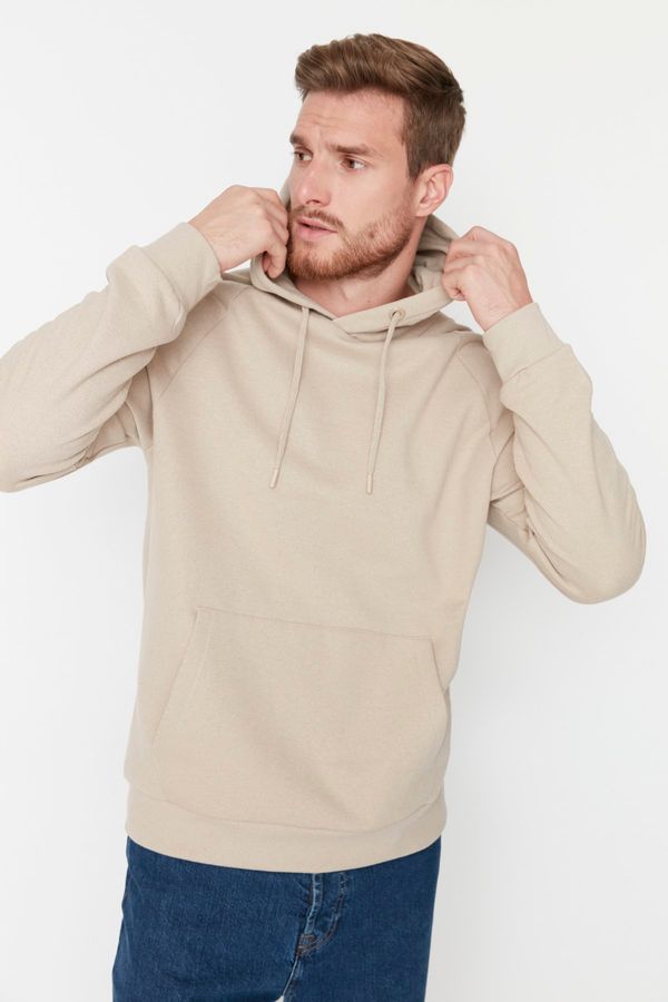 Trendyol Trendyol Sweatshirt - Beige - Fitted