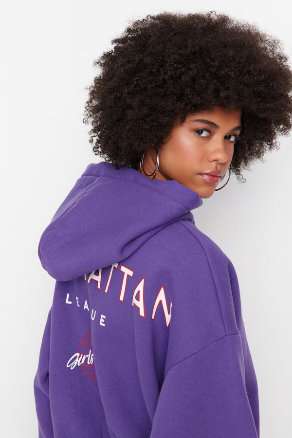 Trendyol Trendyol Sweatshirt - Purple - Regular fit