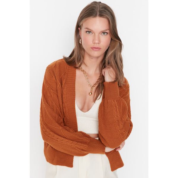 Trendyol Trendyol Taba Knit Detailed Knitwear Cardigan