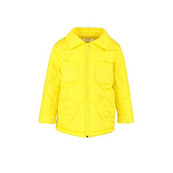 Trendyol Trendyol Yellow Boy's Quilted Coat