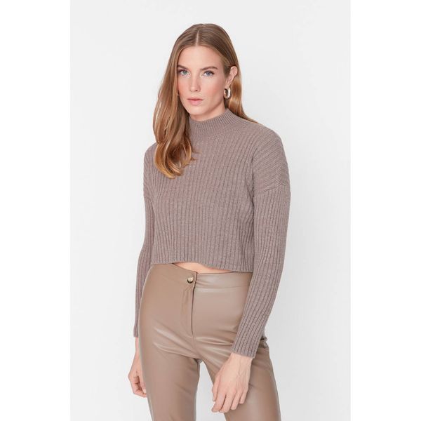 Trendyol Women's sweater Trendyol Knitwear