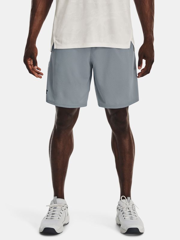 Under Armour Under Armour Shorts UA Tech Mesh Shorts-BLU - Men