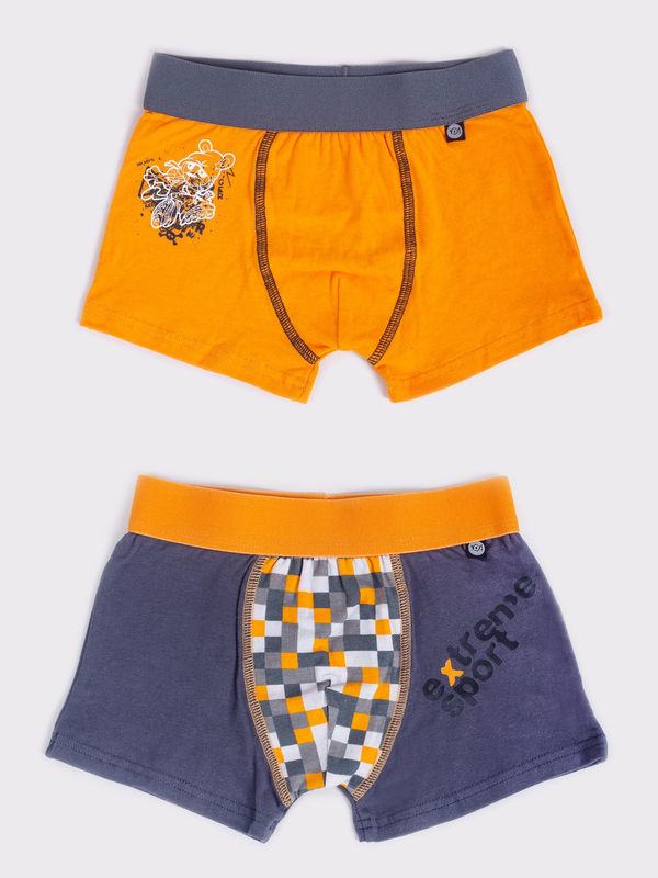 Yoclub Yoclub Kids's 2Pack Boy's Boxer Briefs BMB-0014C-AA30