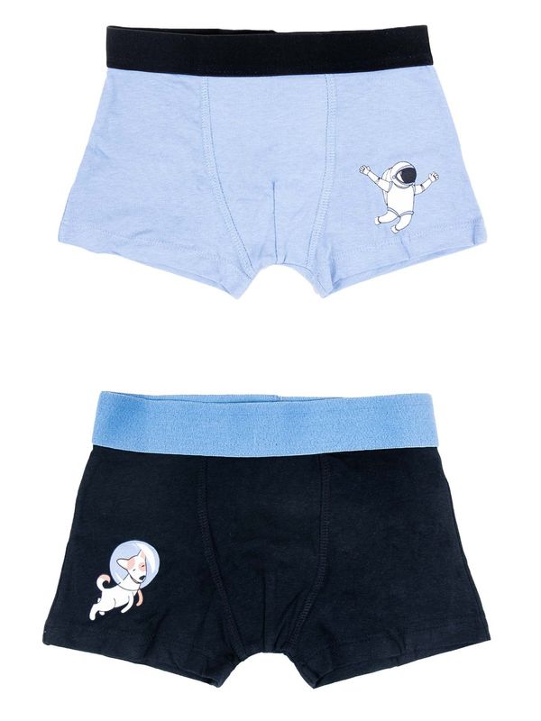 Yoclub Yoclub Kids's Cotton Boys' Boxer Briefs Underwear 2-pack BMB-0012C-AA30-001