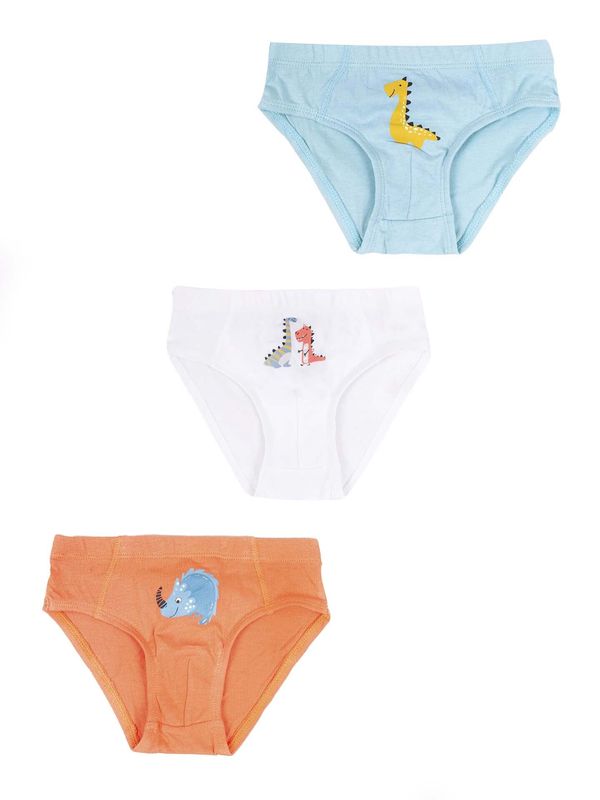 Yoclub Yoclub Kids's Cotton Boys' Briefs Underwear 3-pack BMC-0028C-AA30-001
