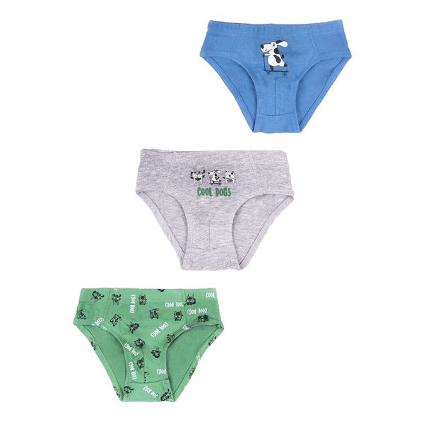 Yoclub Yoclub Kids's Cotton Boys' Briefs Underwear 3-pack BMC-0029C-AA30-001